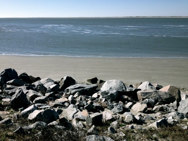 Travel tip: the dolphins perform at 3 PM every day. 