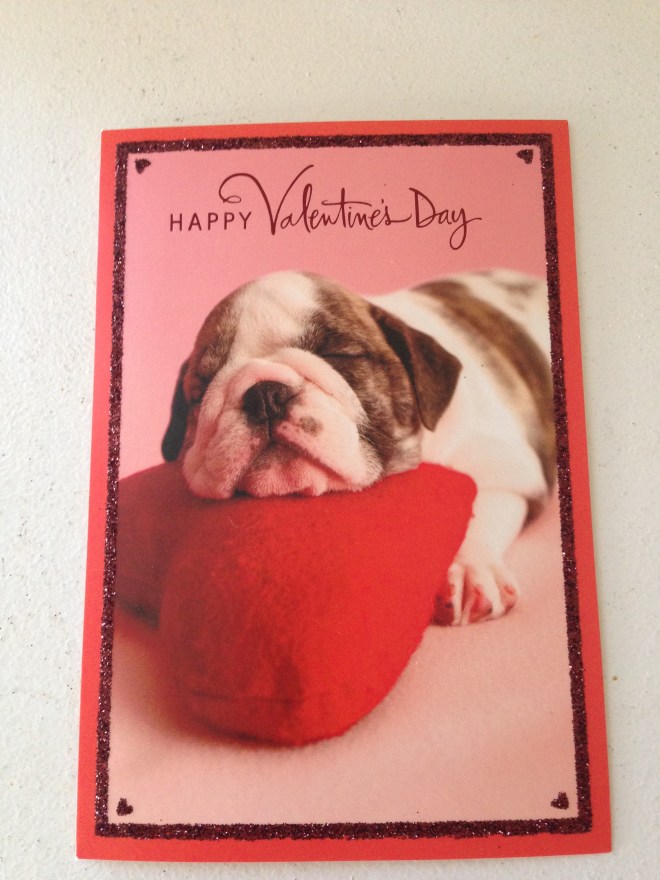 dog valentine