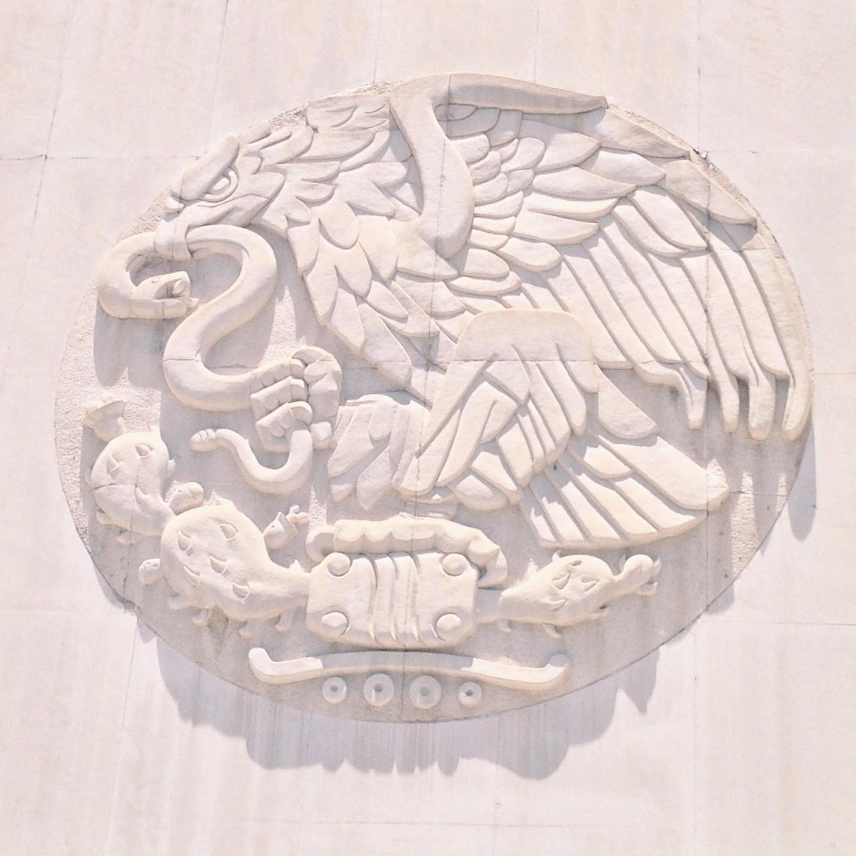 Processed with VSCOcam with c1 preset