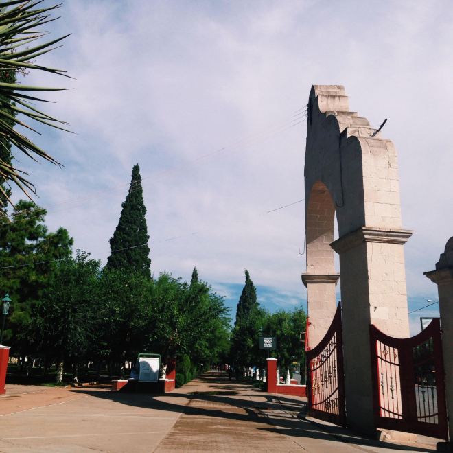 Processed with VSCOcam with c1 preset