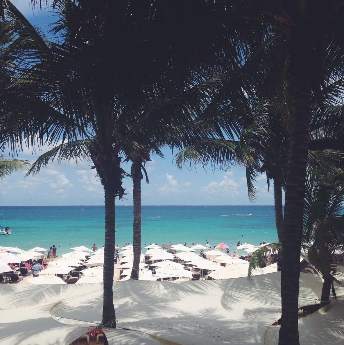 Screen Shot 2016-12-31 at 9.20.01 PM.png