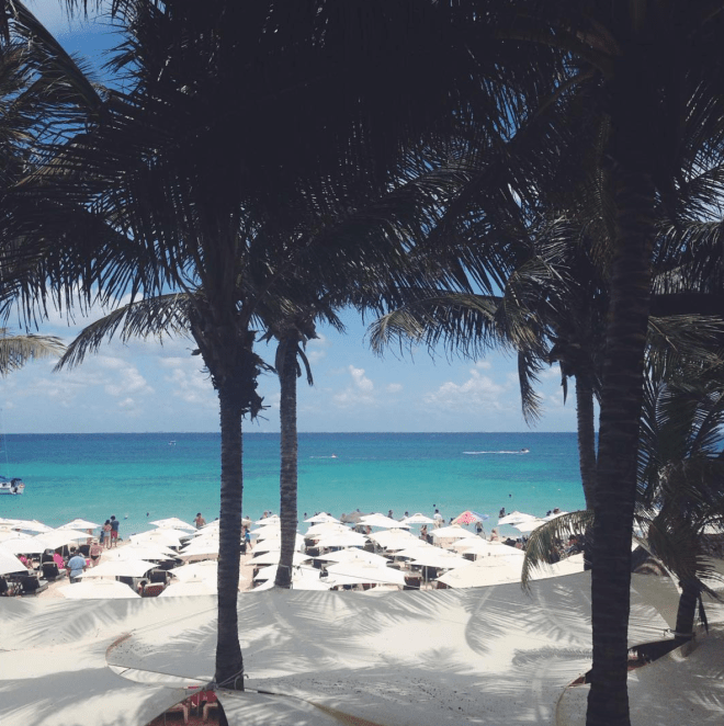 Screen Shot 2016-12-31 at 9.20.01 PM.png